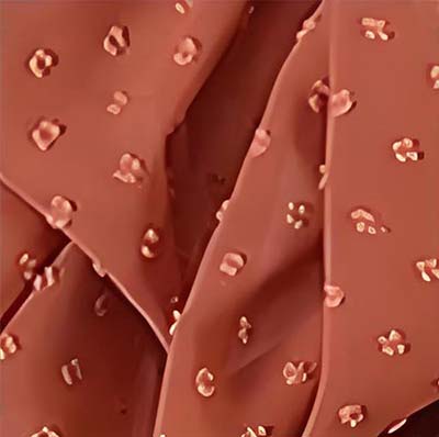 Pompom Chiffon